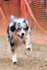 Image00071