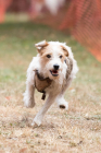 Image00076