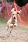 Image00079