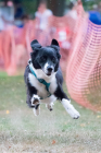 Image00088