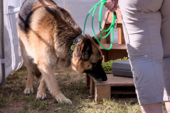2023 Schnüffelcup SHS