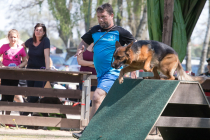IMG_6805_900