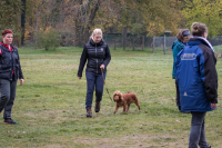 IMG_4227_b
