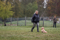 IMG_4336_b