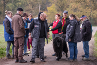 IMG_4456_b