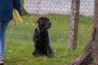 IMG_4464_b