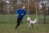 IMG_4489_b
