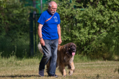 2022 Vereinsprüfung GHS