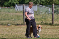 IMG_1338