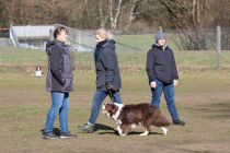 IMG_9216_900