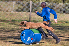 2021 Vereinsprüfung THS