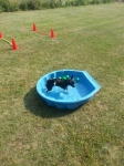 IMG-20130801-WA0004