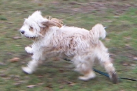 KONICA MINOLTA DIGITAL CAMERA